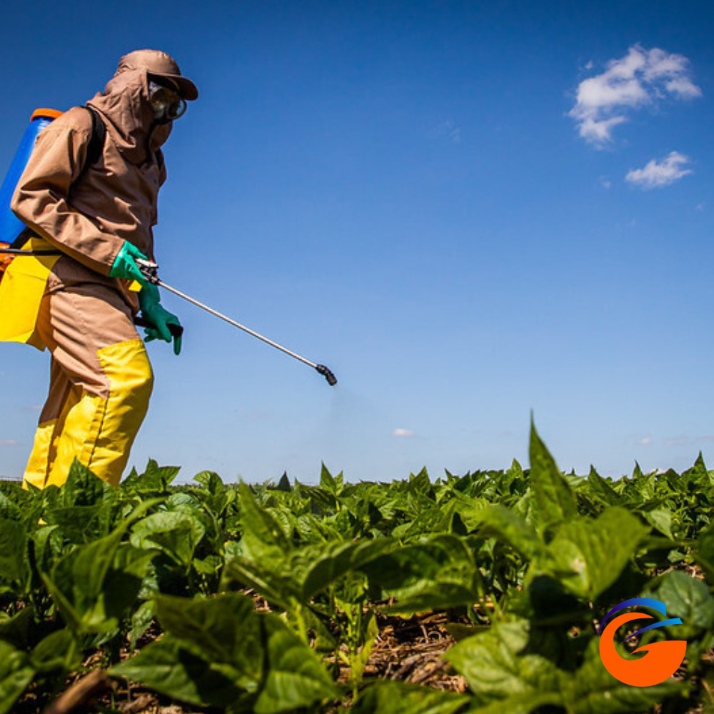 Segurança do Trabalho no Agronegócio: Visão de Profissionais Experientes